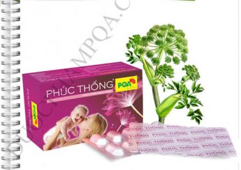 phuc-thong-pqa