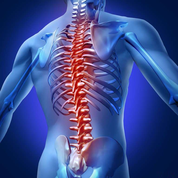 Nguyên nhân và chữa trị chứng đau cột sống lưng theo đông y